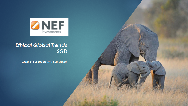 NEF Ethical Global Trends SDG