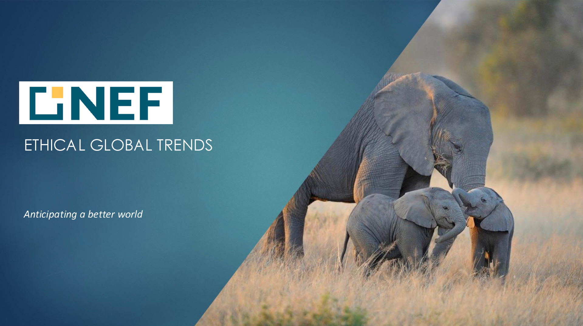 NEF Ethical Global Trends